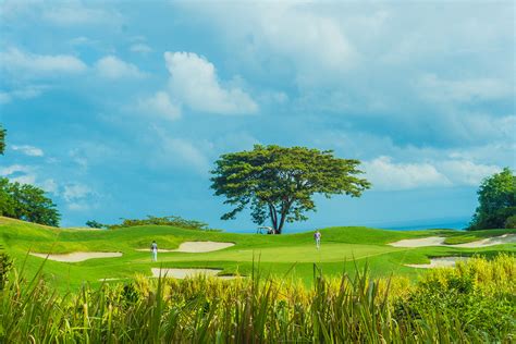Exploring the Enchanting White Witch Golf Course in Jamaica